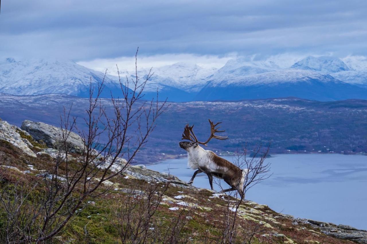 Tjeldøya Slott Hotell Hov  Eksteriør bilde